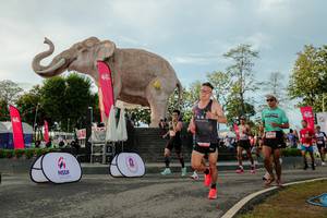 BIB: 
                            <button type="button" onclick="openModal(26529182)" class="btn btn-primary btn-sm float-right btn-popup" data-toggle="modal" data-target=".modal-high-quality">
                        <i class="fas fa-shopping-cart"></i> Add to Cart
                    </button>
                                            <button type="button" onclick="isThisMe(26529182, true)" class="btn btn-success btn-sm float-right btn-popup btn-isme hidden" data-toggle="tooltip" data-placement="bottom" title="นี่คือรูปของคุณใช่ไหม คลิกที่นี่เพื่อเอาเข้าอัลบั้ม">
                        <i class="fas fa-plus"></i> Add to album
                    </button>
                    <button type="button" onclick="isThisMe(26529182, false)" class="btn btn-warning btn-sm float-right btn-popup btn-isnotme hidden">
                        <i class="fas fa-ban"></i> Remove from album
                    </button>